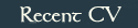 Read my recent CV